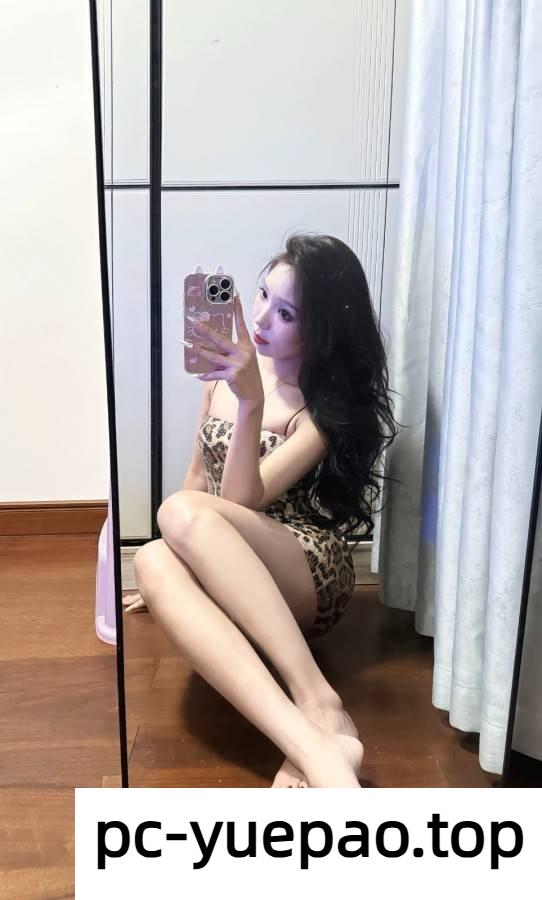 [惠州]  惠城区性感豹纹蕾丝小内内