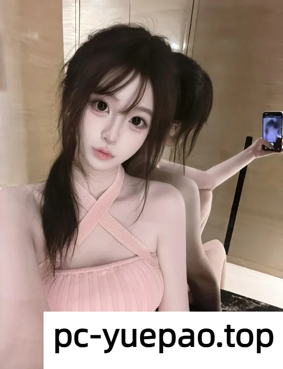 29090856816
