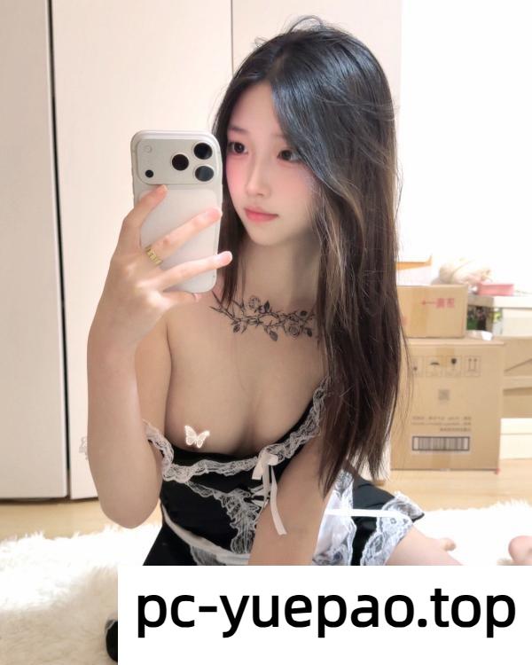 12065728548