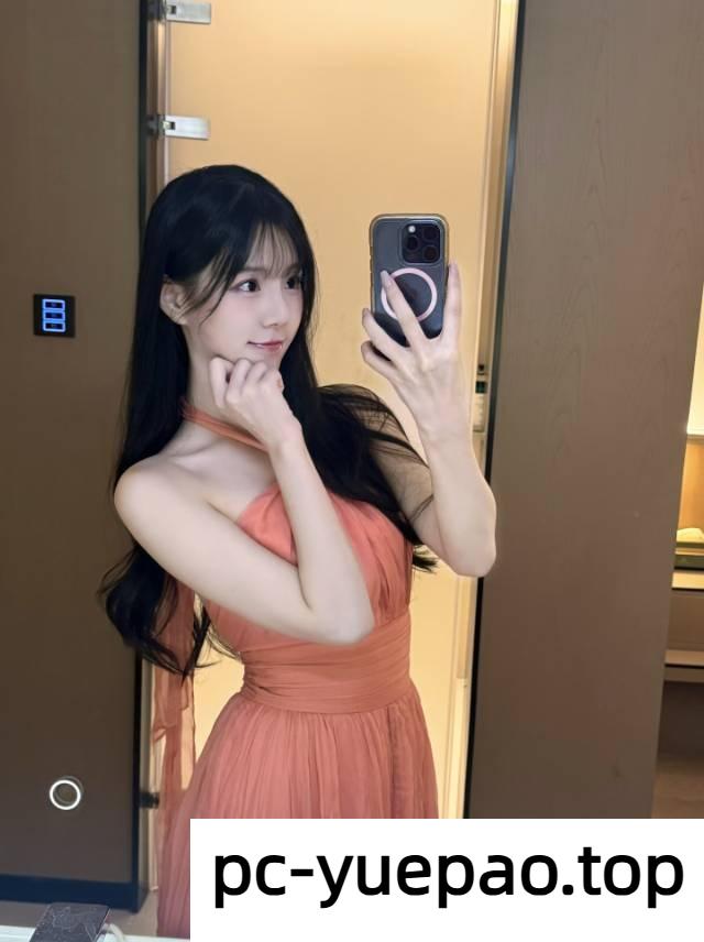 13051408265